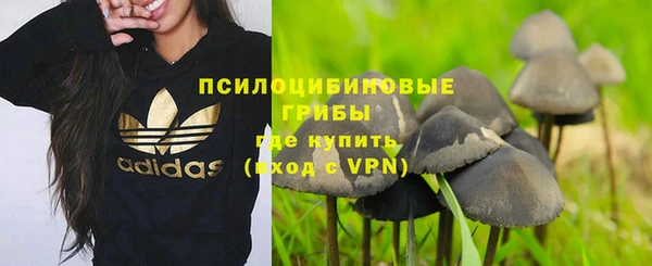 дурь Ельня