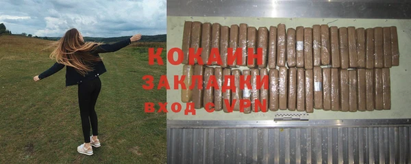 дурь Ельня
